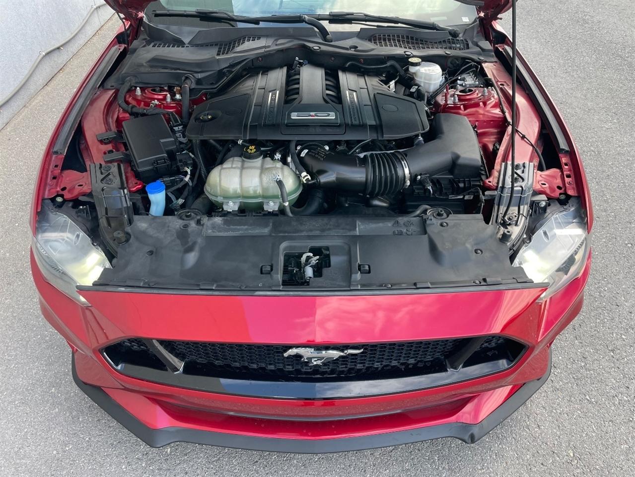 Ford Mustang  2021