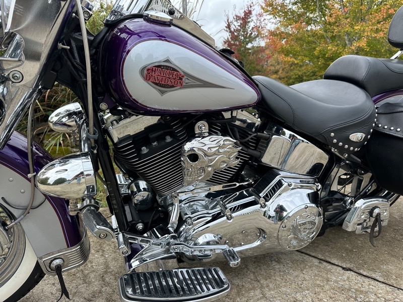 Harley-Davidson FLSTCI  2001 Harley-Davidson FLSTCI  2001