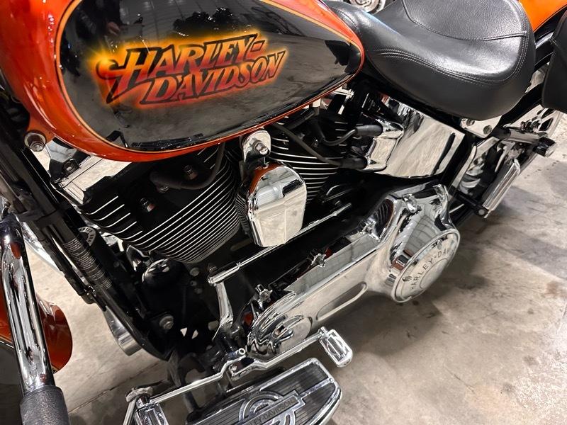 Harley-Davidson FLSTF103  2014