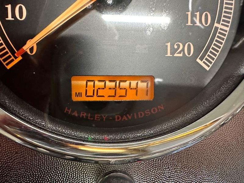 Harley-Davidson FLSTF103  2014