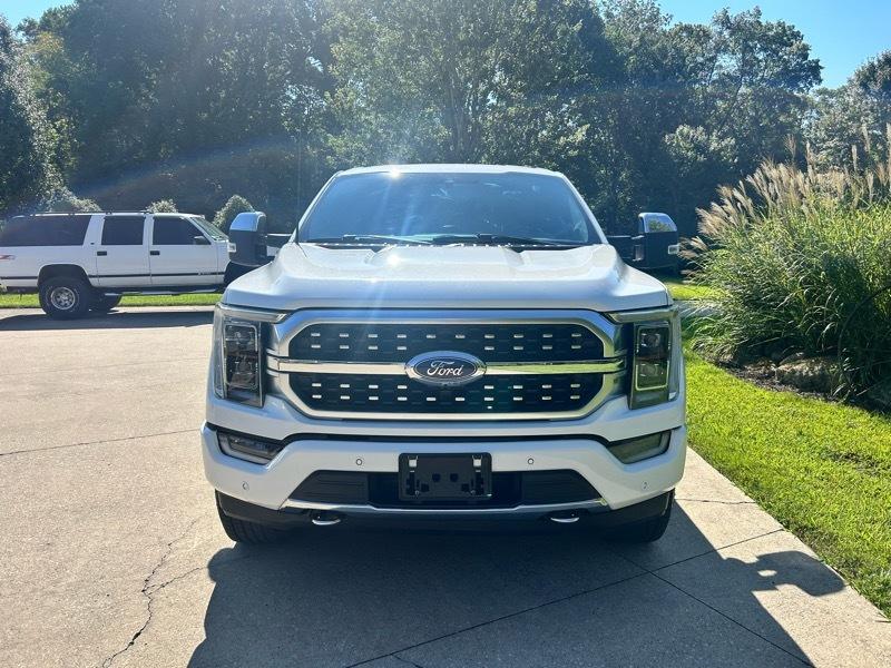 Ford F-150 4WD SuperCrew 157" Platinum 2021