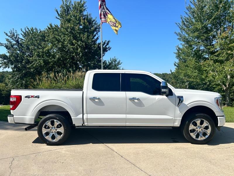 Ford F-150 4WD SuperCrew 157" Platinum 2021