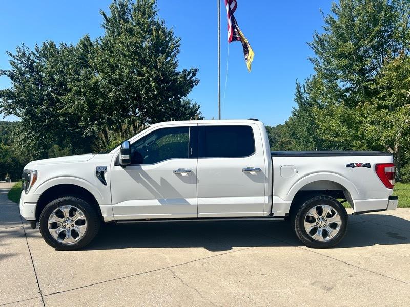 Ford F-150 4WD SuperCrew 157" Platinum 2021