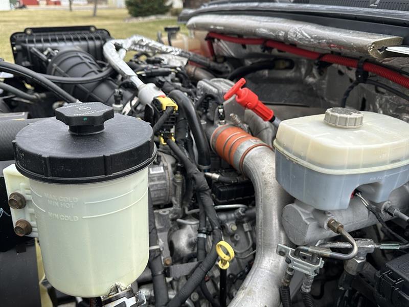 International CV515  2022