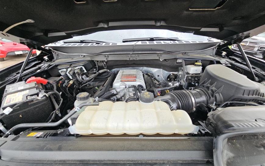 Ford F-150 Raptor 4WD SuperCrew 5.5' Box 2024