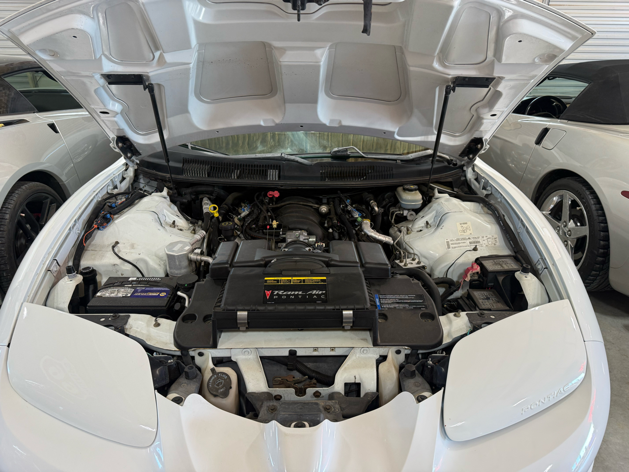 Pontiac Trans Am Coupe 2001