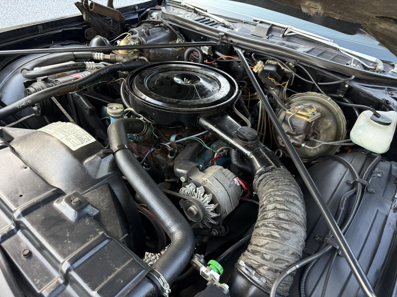 Oldsmobile Hurst  1975