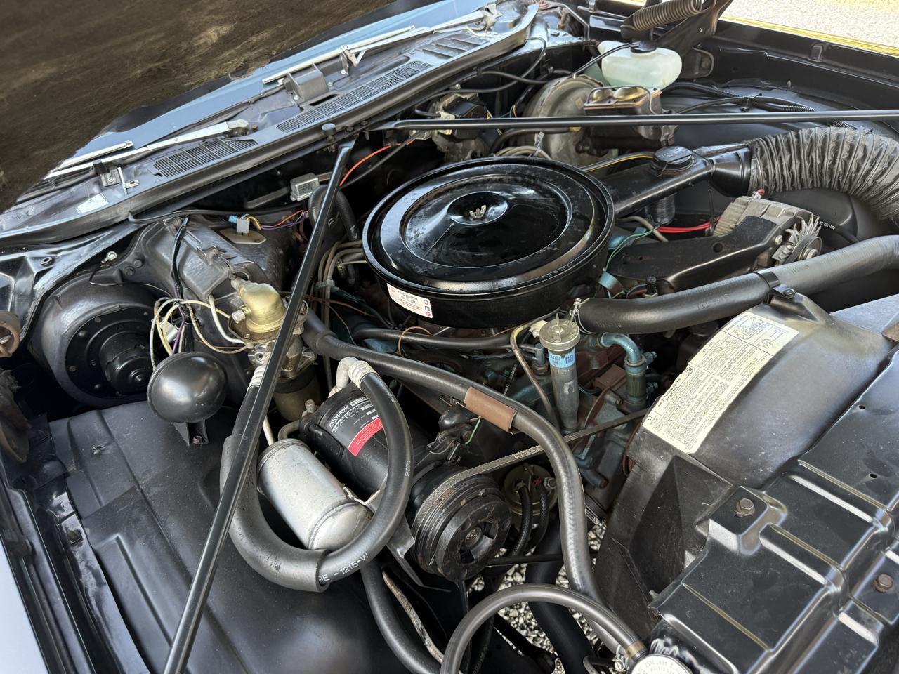 Oldsmobile Hurst  1975
