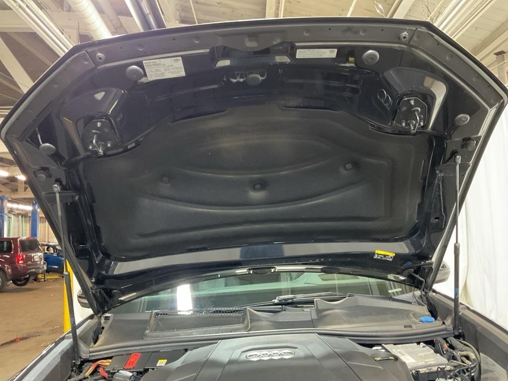 Audi Q8  2019