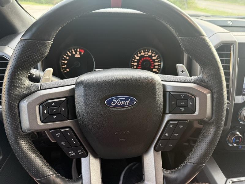 2018 Ford F-150 Raptor - Photo 10