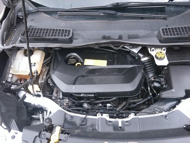 Ford Escape  2013