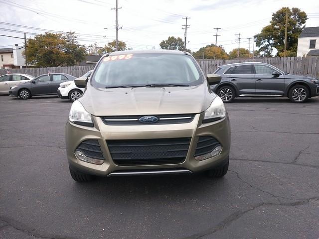 Ford Escape photo 4