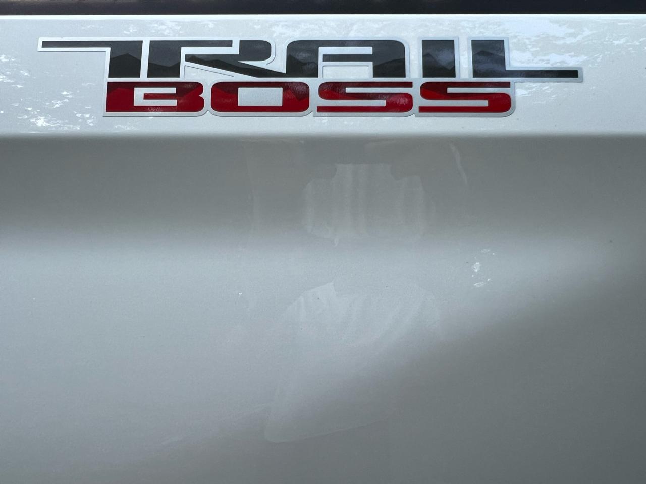 Chevrolet Silverado 1500 Trail Boss Custom Crew Cab 4WD 2020