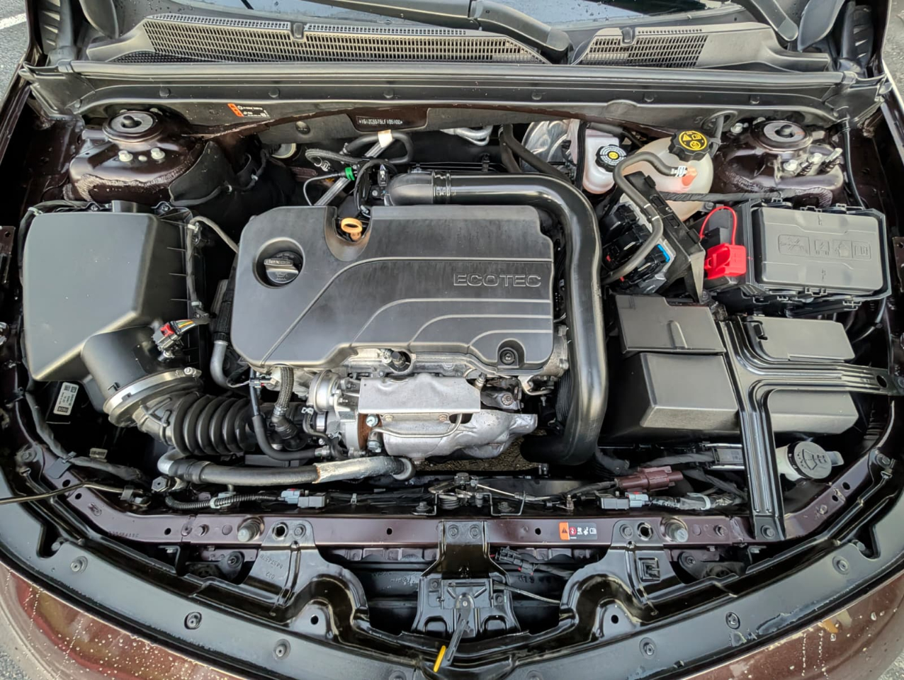 Chevrolet Malibu 1FL 2020