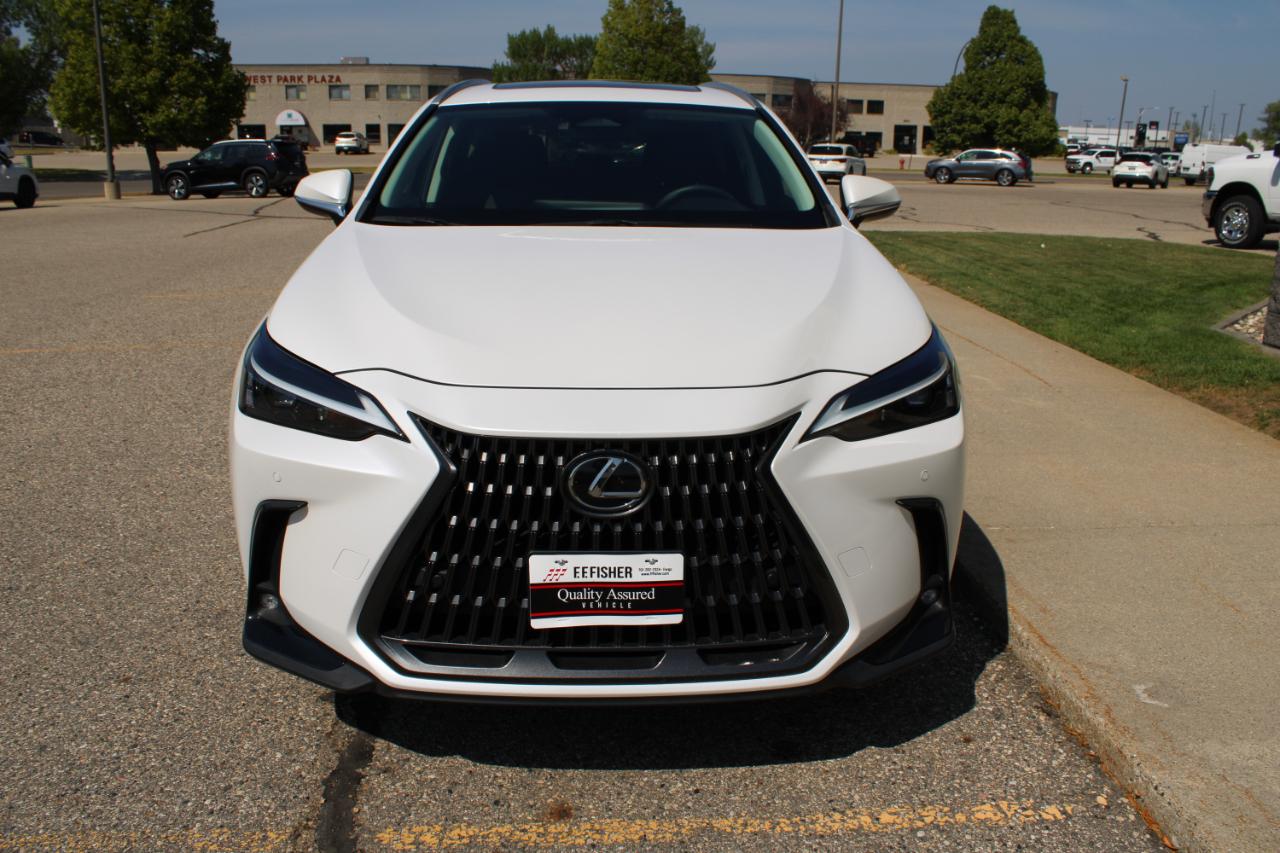 Lexus NX 350 Premium AWD 2024