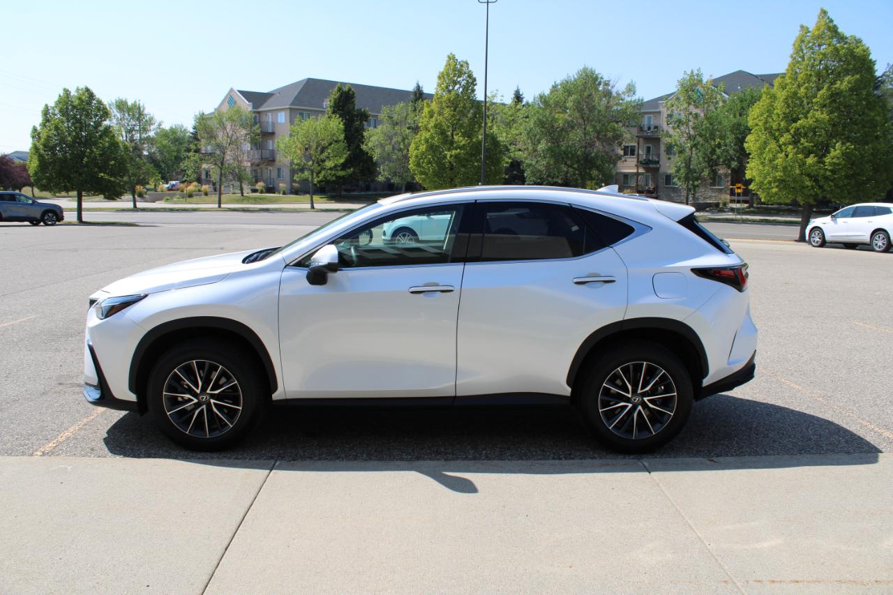Lexus NX 350 Premium AWD 2024