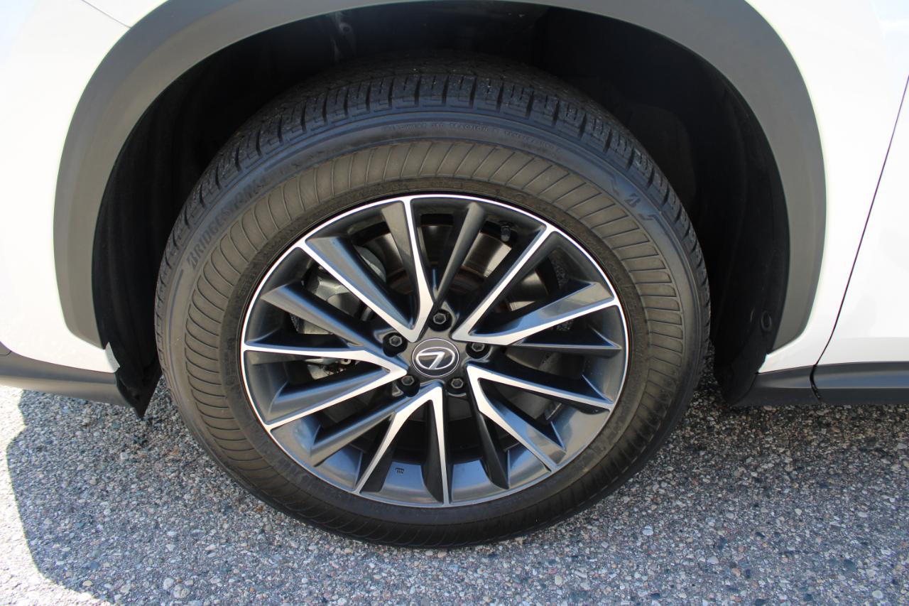 Lexus NX 350 Premium AWD 2024