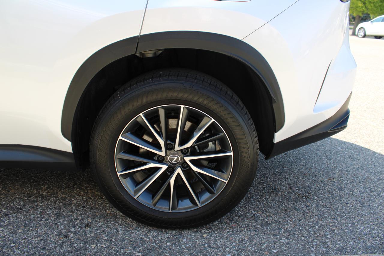 Lexus NX 350 Premium AWD 2024