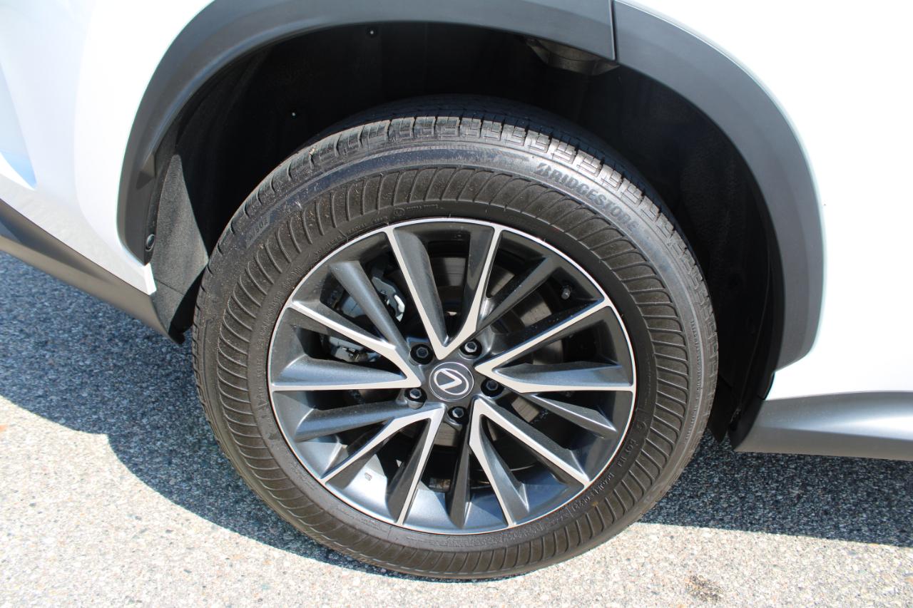 Lexus NX 350 Premium AWD 2024