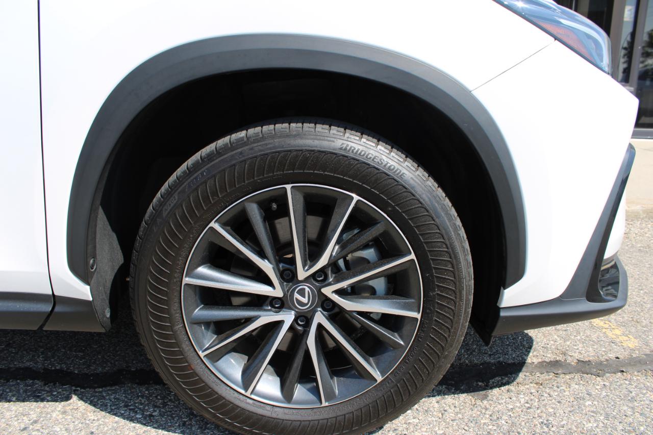 Lexus NX 350 Premium AWD 2024