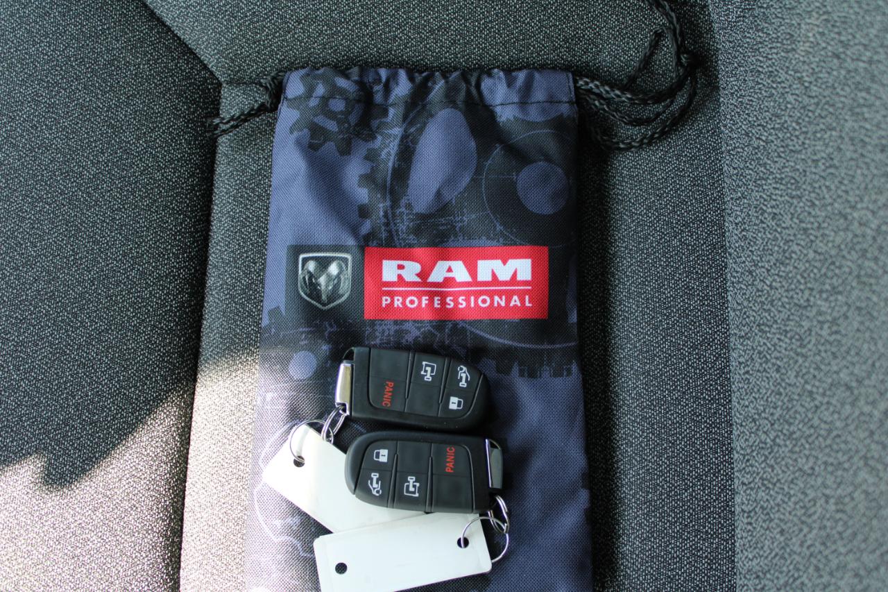RAM Promaster 2500 Low Roof 2025