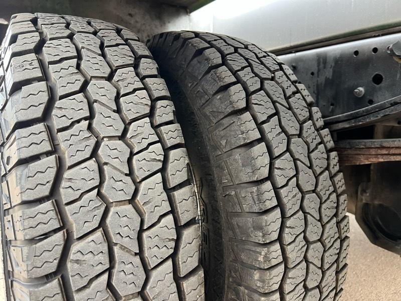 Isuzu NPR  2019