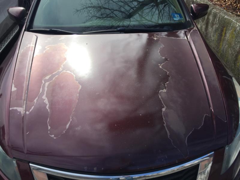 Honda Accord LX sedan AT 2010