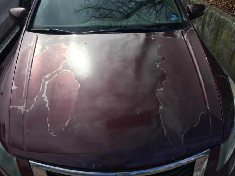 Honda Accord LX sedan AT 2010