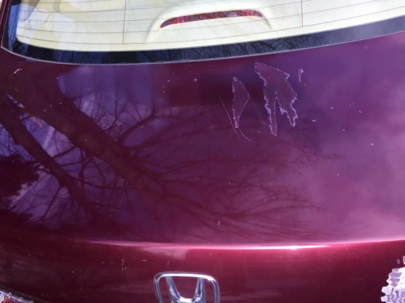 Honda Accord LX sedan AT 2010