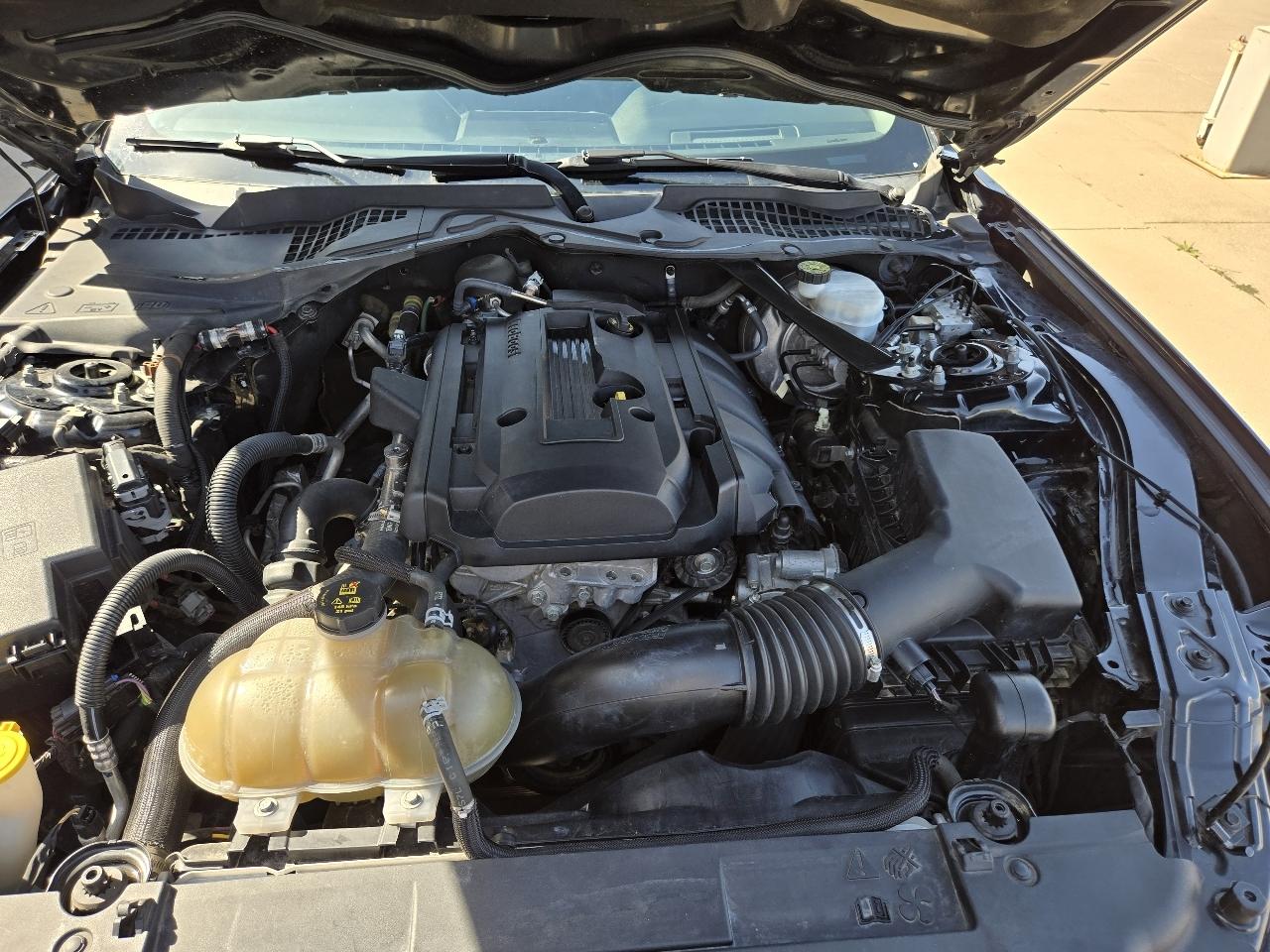 Ford Mustang EcoBoost Premium Convertible 2019