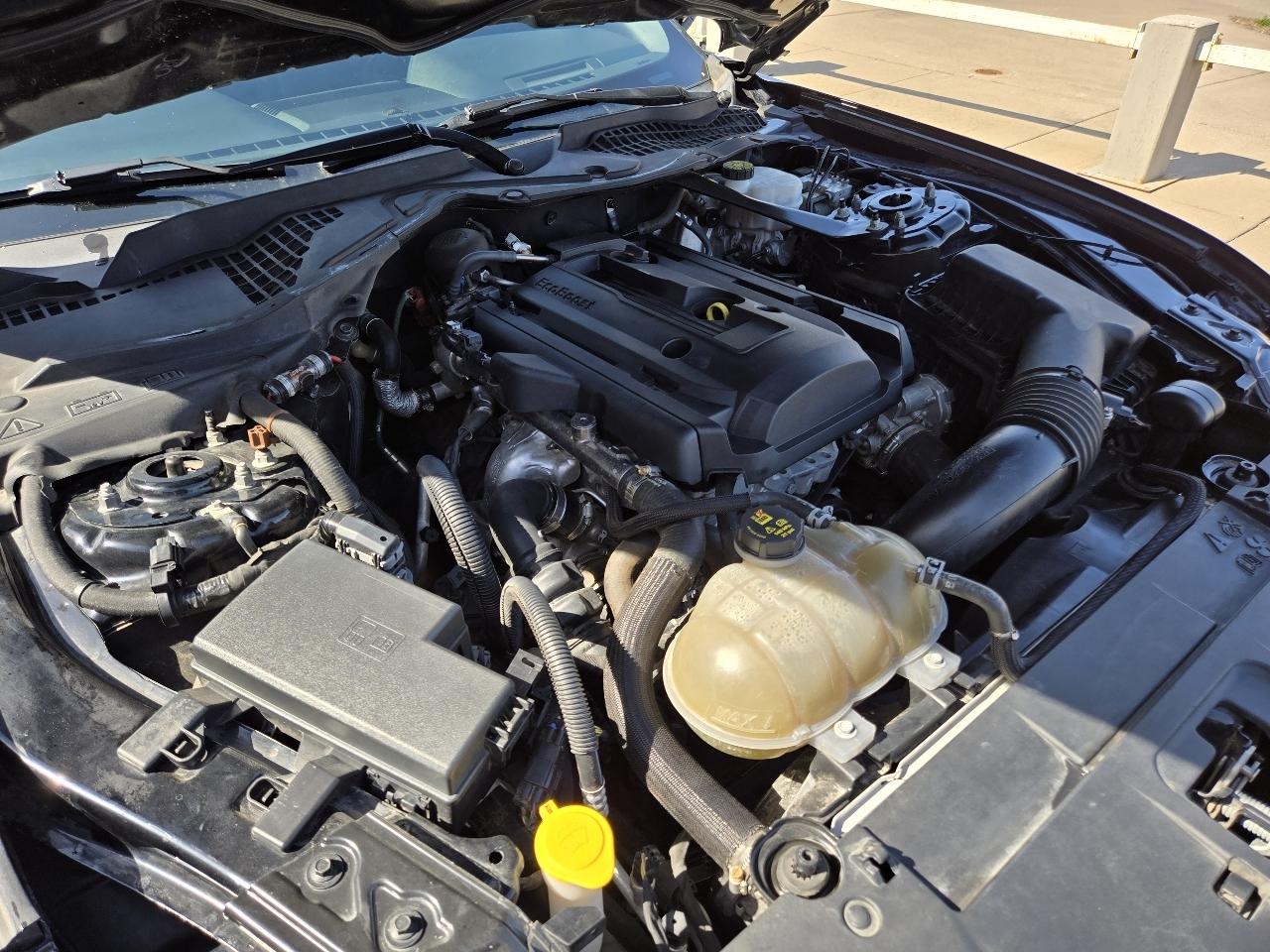 Ford Mustang EcoBoost Premium Convertible 2019