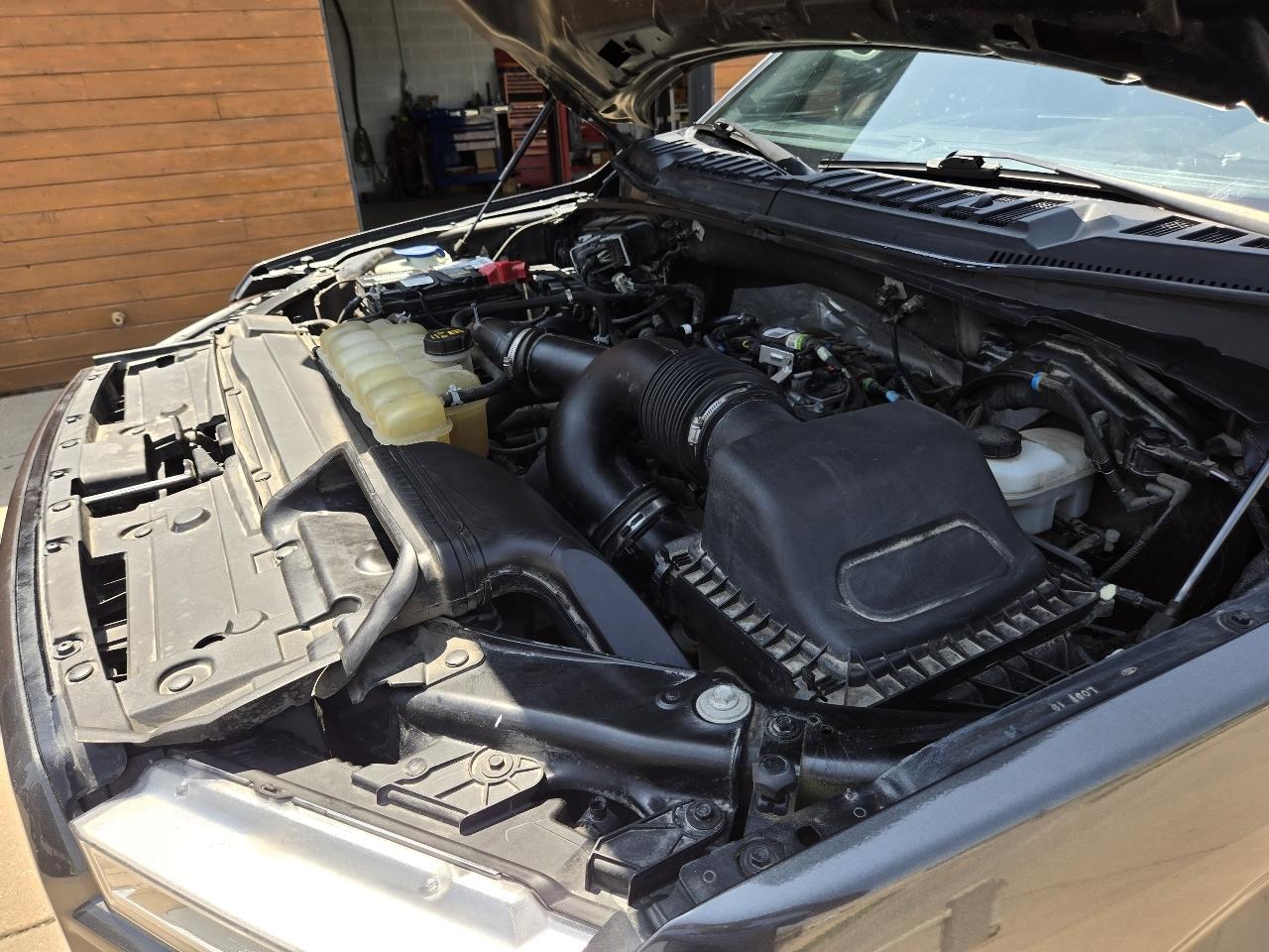 Ford F-150 4WD SuperCrew 145" STX 2019