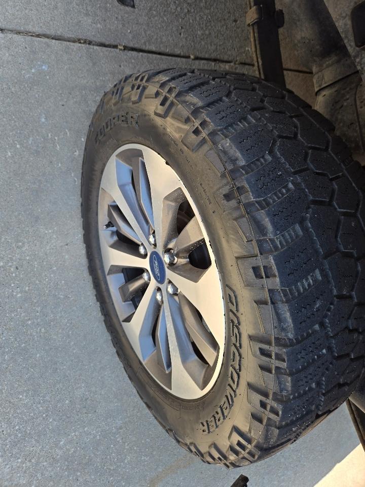 Ford F-150 4WD SuperCrew 145" STX 2019
