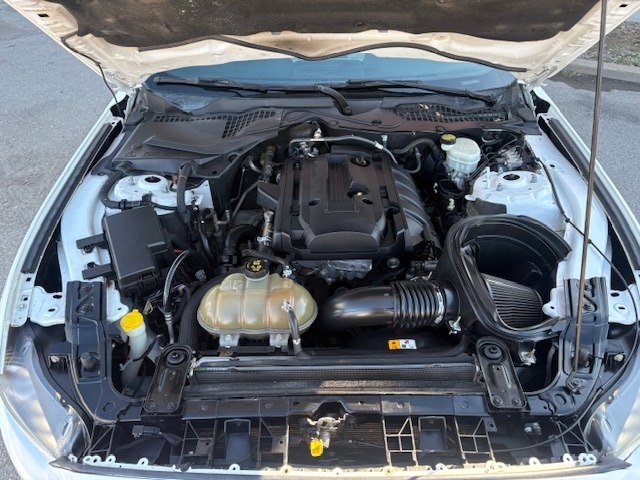 Ford Mustang 2dr Fastback EcoBoost 2016