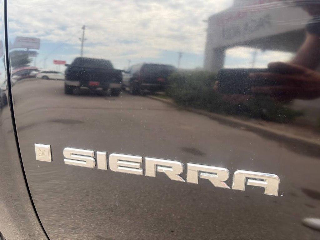 GMC Sierra 1500 2WD Reg Cab 119.0" Work Truck 2009