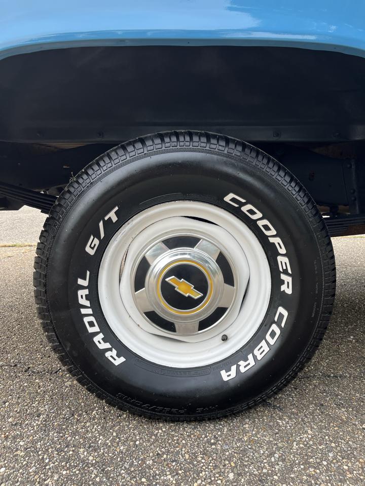 Chevrolet C/K 10 Series Custom Deluxe 2WD 1979