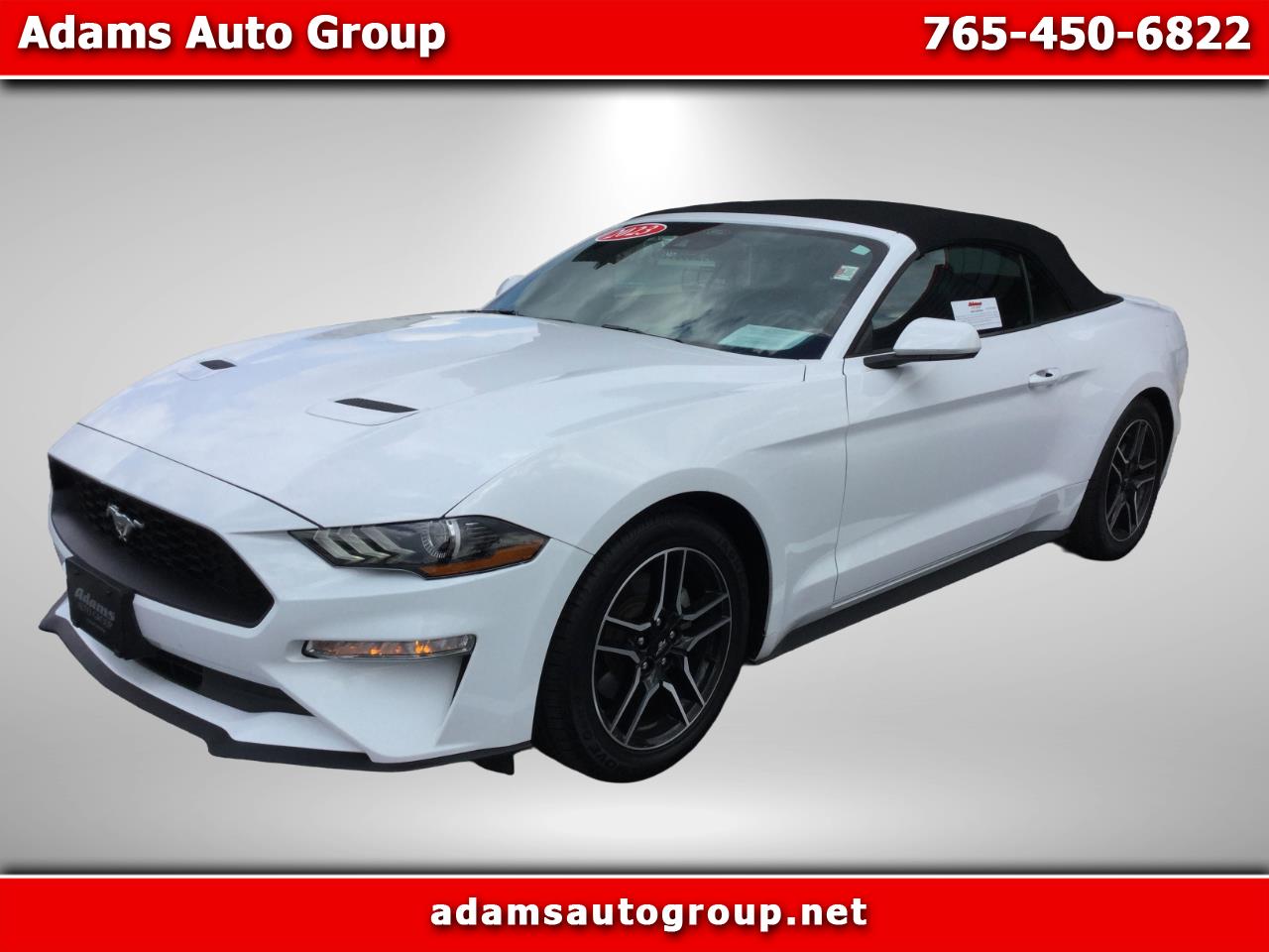 2023 Ford Mustang EcoBoost's photo