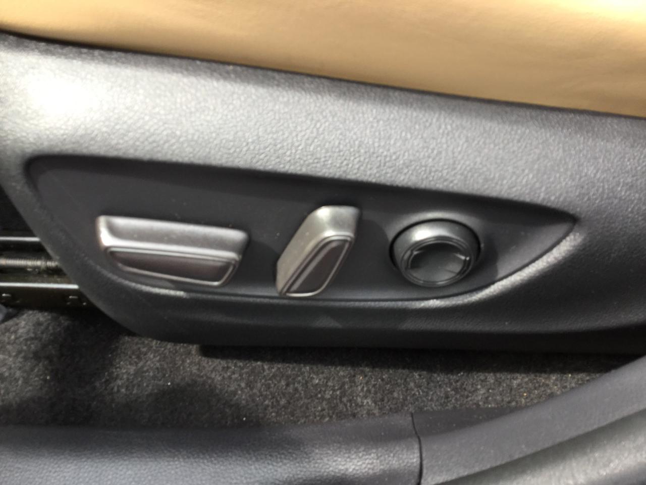 Toyota RAV4 Limited AWD (Natl) 2022