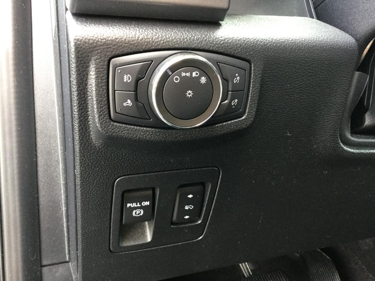 Ford F-150 XLT SuperCrew 5.5-ft. Bed 4WD 2020