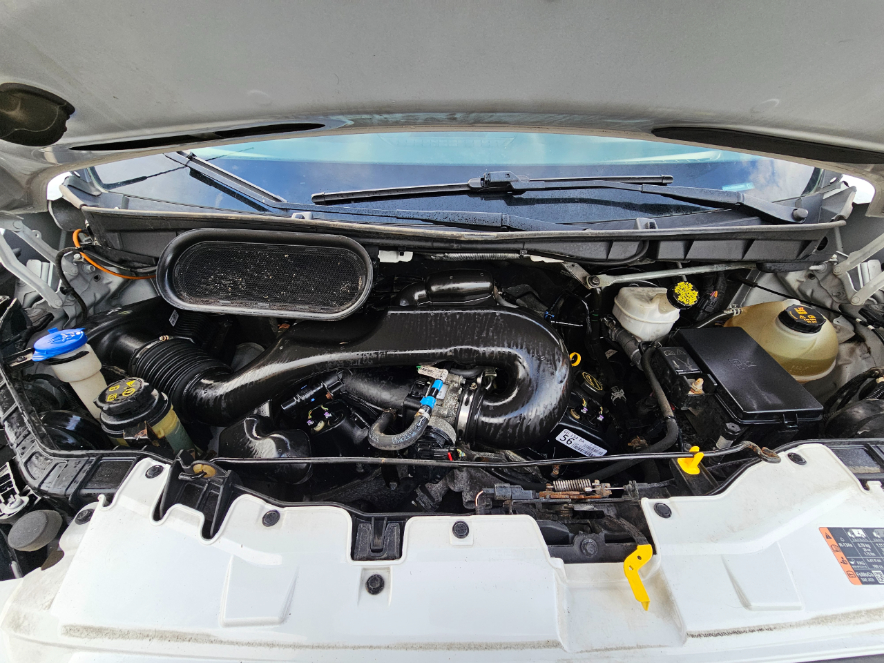 Ford Transit Chassis T-350 DRW 156" WB 9950 GVWR 2019