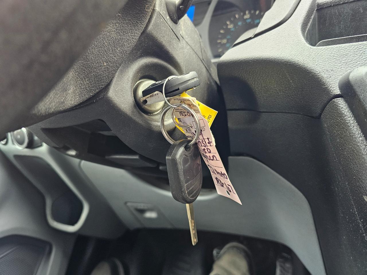 Ford Transit Van T-150 130" Low Rf 8600 GVWR Swing-Out RH Dr 2019