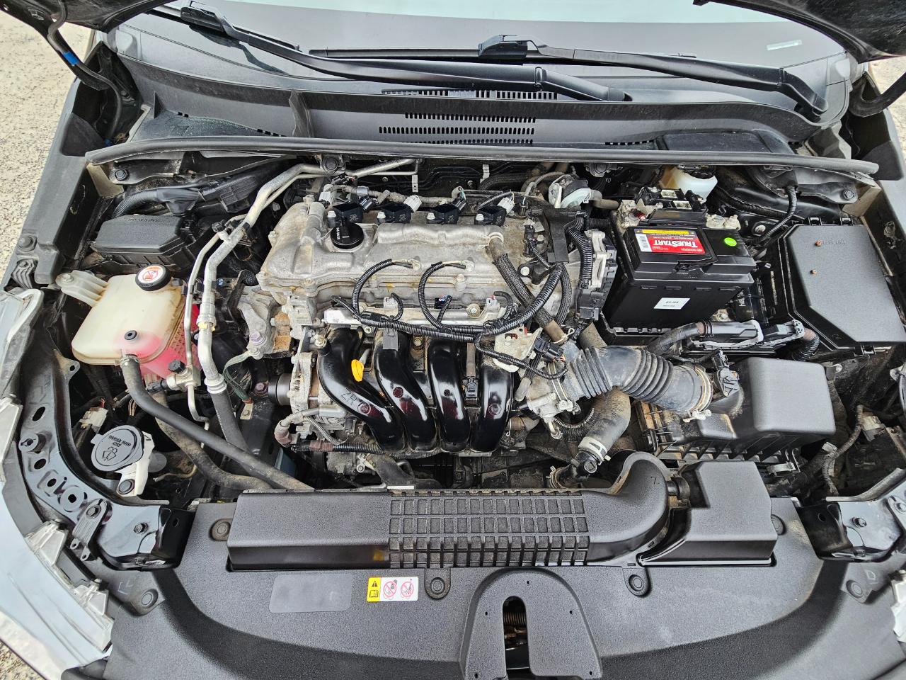 Toyota Corolla LE CVT (Natl) 2020