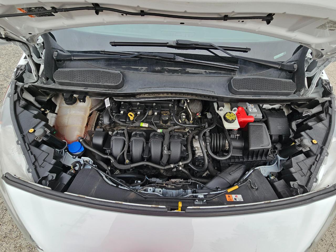 Ford Transit Connect Van XL LWB w/Rear Symmetrical Doors 2019