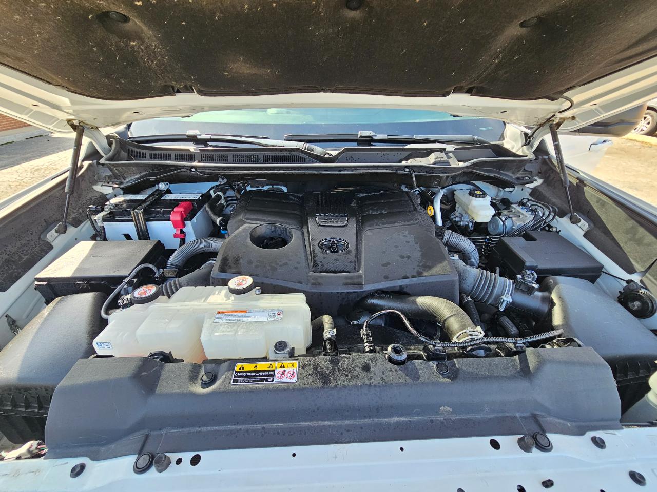 Toyota Tundra 4WD SR5 Double Cab 6.5' Bed (Natl) 2022