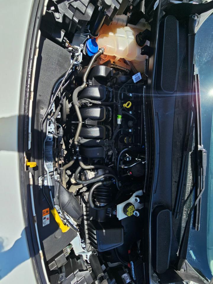 Ford Transit Connect Van XL LWB w/Rear Symmetrical Doors 2019