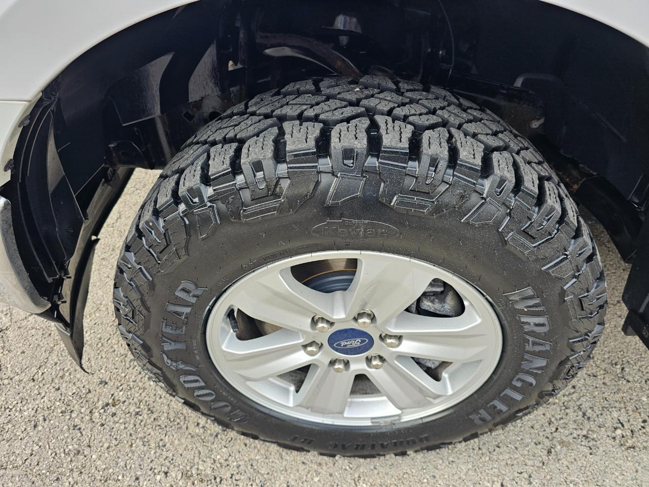 Ford F-150 XLT 2WD Reg Cab 8' Box 2019