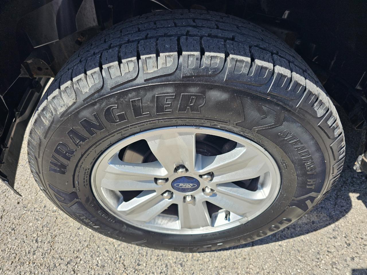 Ford F-150 XLT 2WD Reg Cab 8' Box 2019
