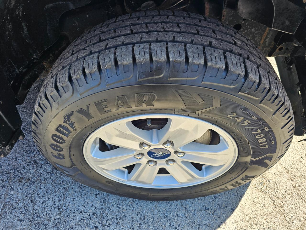 Ford F-150 XLT 2WD Reg Cab 8' Box 2019