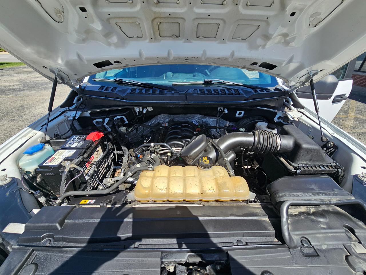 Ford F-150 XLT 2WD Reg Cab 8' Box 2019