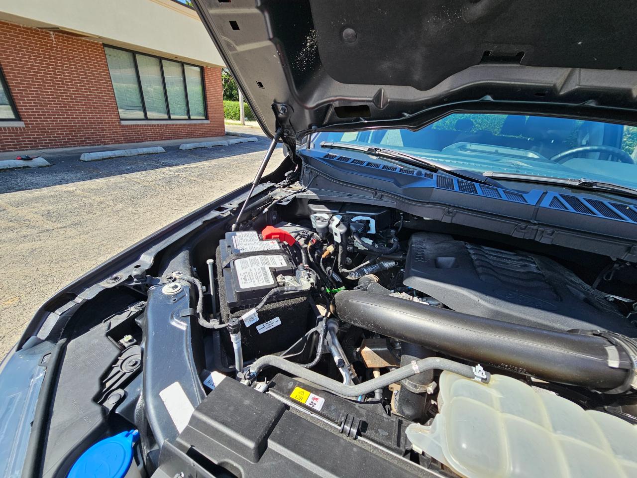 Ford F-150 XLT 4WD SuperCrew 5.5' Box 2023